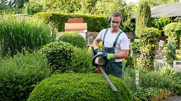Regelmäßiger Rückschnitt von Gehölzen in privaten und gewerblichen Objekten
