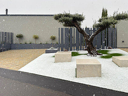 Moderner Eingangsbereich, Sichtschutz und Olivenbaum